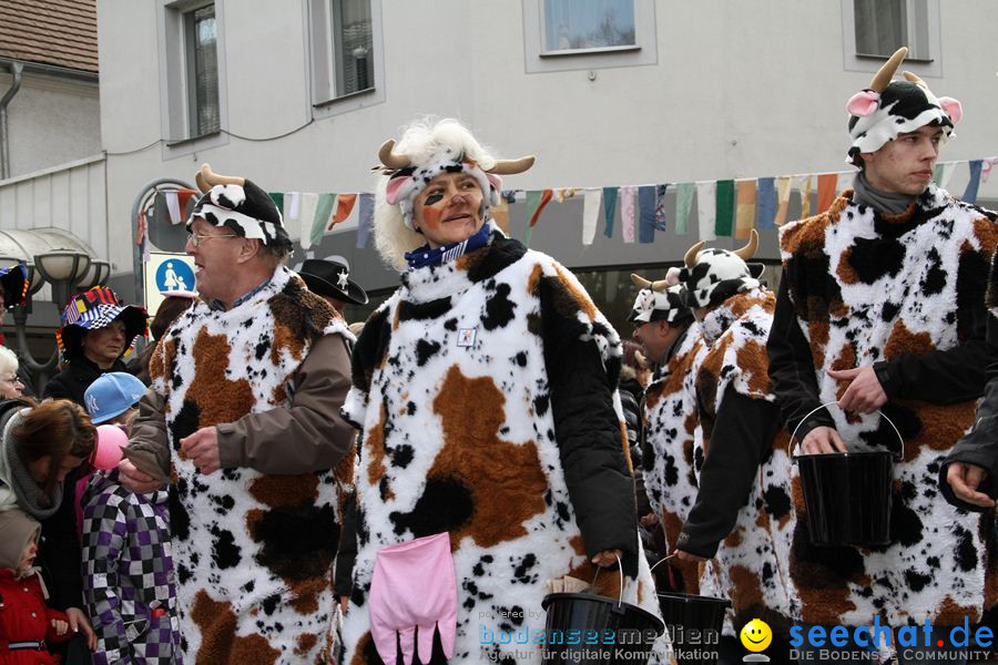 Kinderumzug - Fasnetsumzug: Singen am Bodensee, 18.02.2012