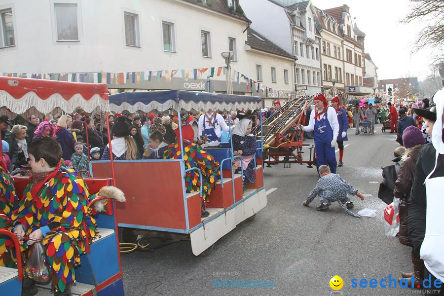 Kinderumzug - Fasnetsumzug: Singen am Bodensee, 18.02.2012