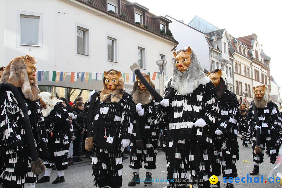 Kinderumzug - Fasnetsumzug: Singen am Bodensee, 18.02.2012