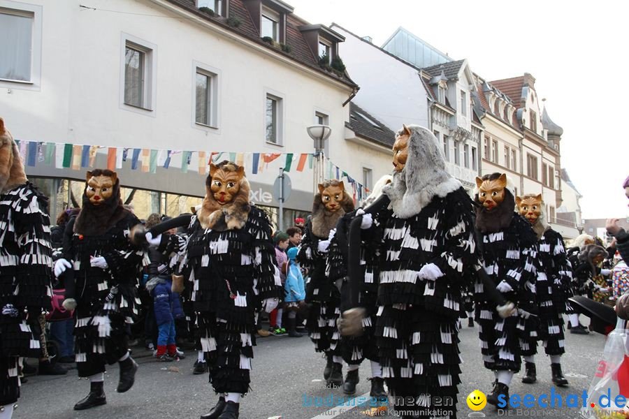 Kinderumzug - Fasnetsumzug: Singen am Bodensee, 18.02.2012