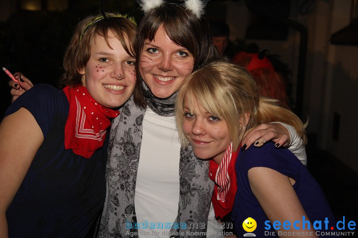 Stierball 2009