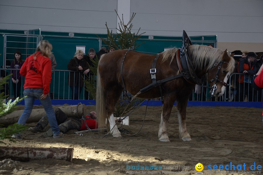 PFERD Bodensee - Messe: Friedrichshafen am Bodensee, 12.02.2012