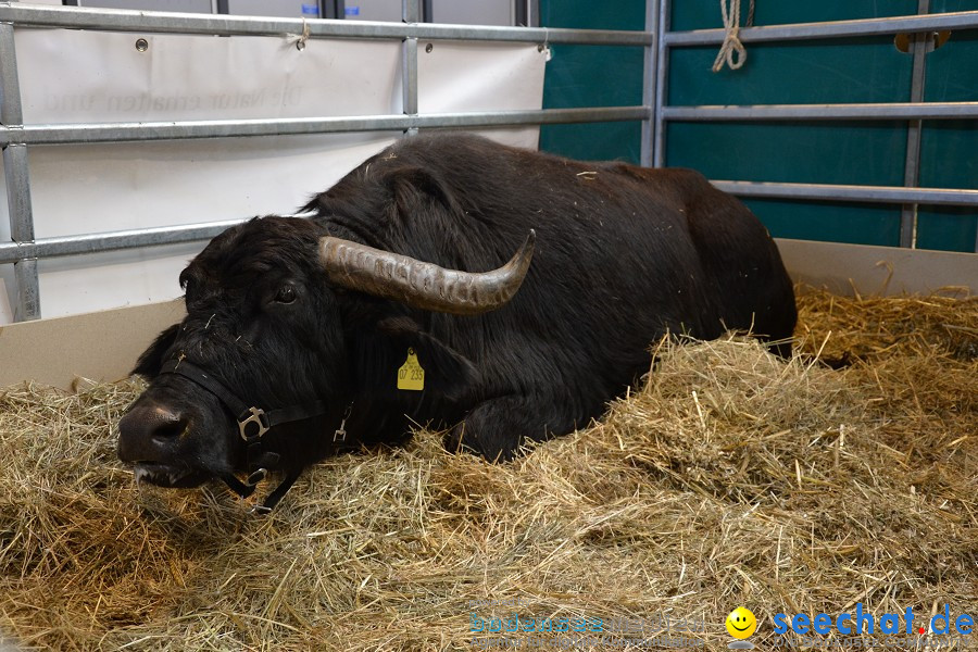 PFERD Bodensee - Messe: Friedrichshafen am Bodensee, 12.02.2012