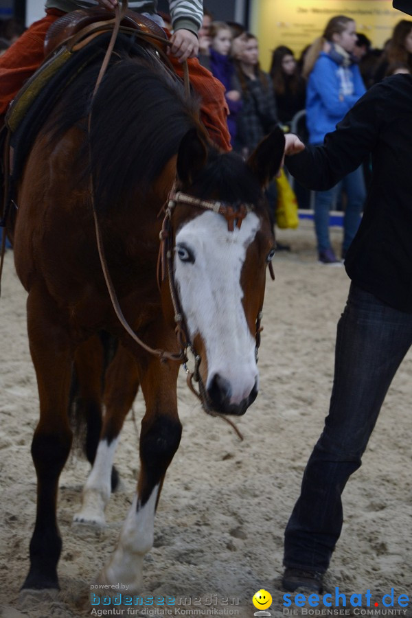 PFERD Bodensee - Messe: Friedrichshafen am Bodensee, 12.02.2012