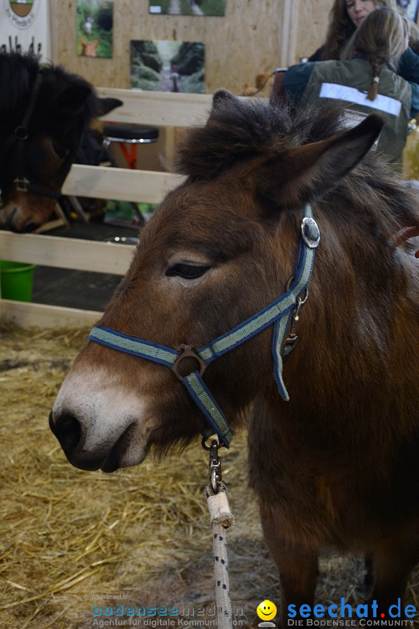 PFERD Bodensee - Messe: Friedrichshafen am Bodensee, 12.02.2012