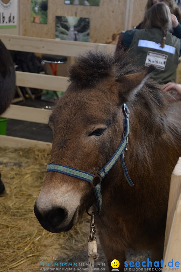 PFERD Bodensee - Messe: Friedrichshafen am Bodensee, 12.02.2012