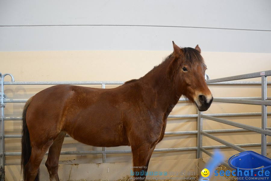 PFERD Bodensee - Messe: Friedrichshafen am Bodensee, 12.02.2012