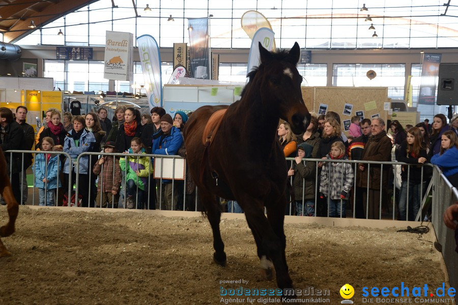 PFERD Bodensee - Messe: Friedrichshafen am Bodensee, 12.02.2012