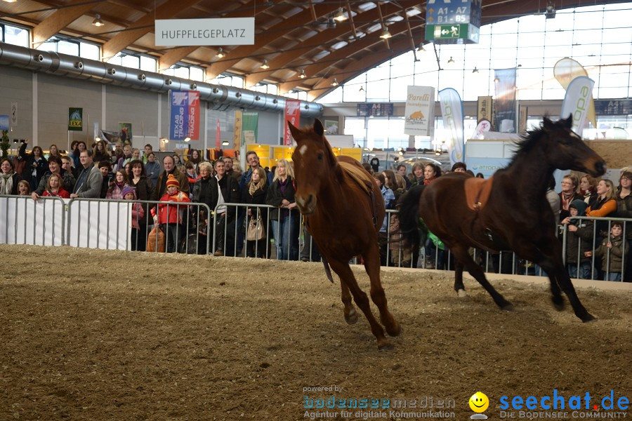 PFERD Bodensee - Messe: Friedrichshafen am Bodensee, 12.02.2012