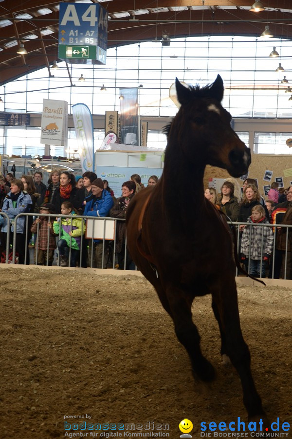 PFERD Bodensee - Messe: Friedrichshafen am Bodensee, 12.02.2012