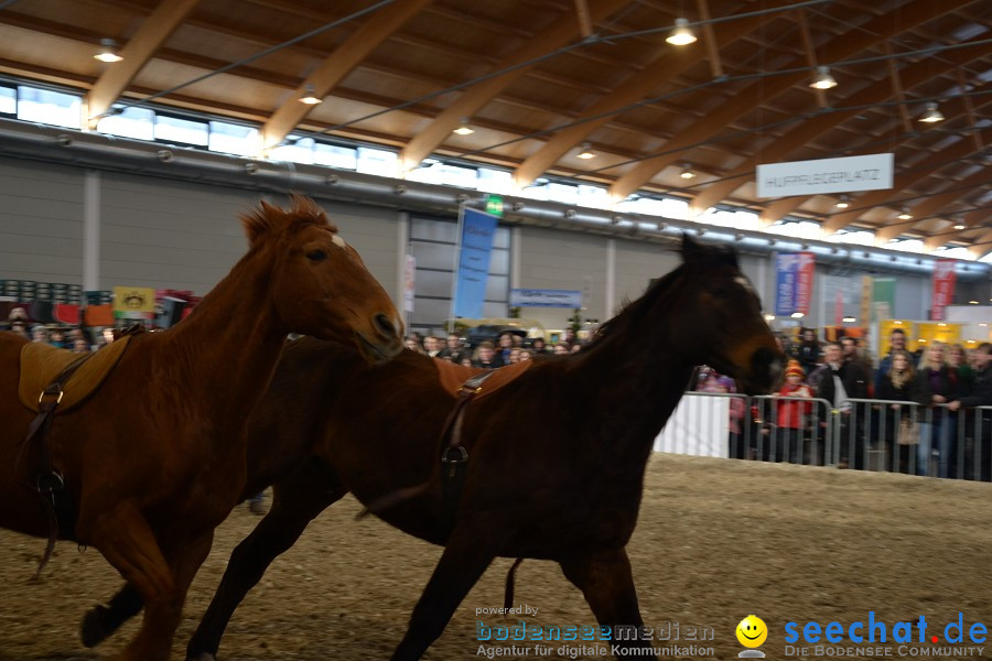 PFERD Bodensee - Messe: Friedrichshafen am Bodensee, 12.02.2012