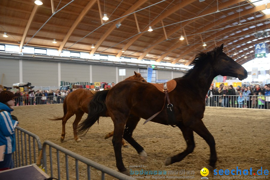 PFERD Bodensee - Messe: Friedrichshafen am Bodensee, 12.02.2012