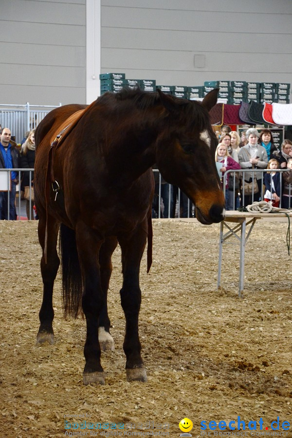 PFERD Bodensee - Messe: Friedrichshafen am Bodensee, 12.02.2012