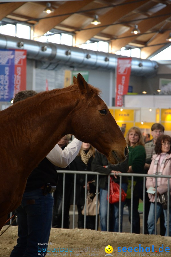 PFERD Bodensee - Messe: Friedrichshafen am Bodensee, 12.02.2012