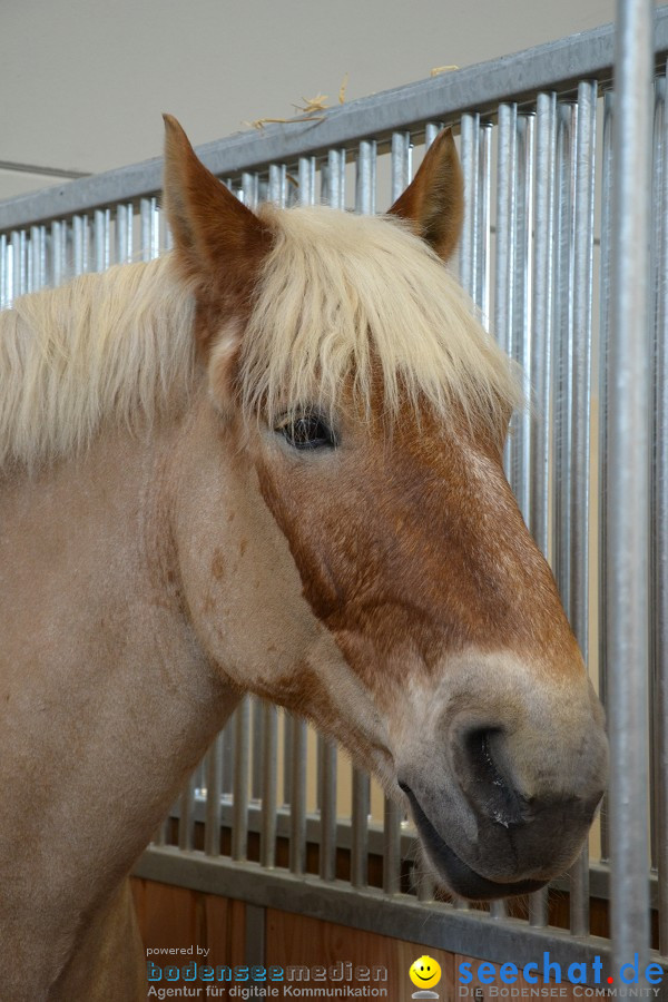 PFERD Bodensee - Messe: Friedrichshafen am Bodensee, 12.02.2012