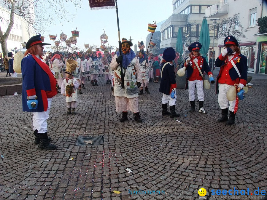 Fasnachtsumzug: Friedrichshafen am Bodensee, 18.02.2012