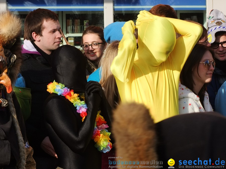 Fasnachtsumzug: Friedrichshafen am Bodensee, 18.02.2012