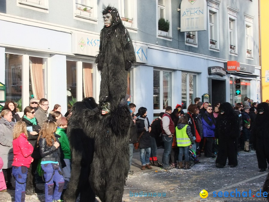 Fasnachtsumzug: Friedrichshafen am Bodensee, 18.02.2012