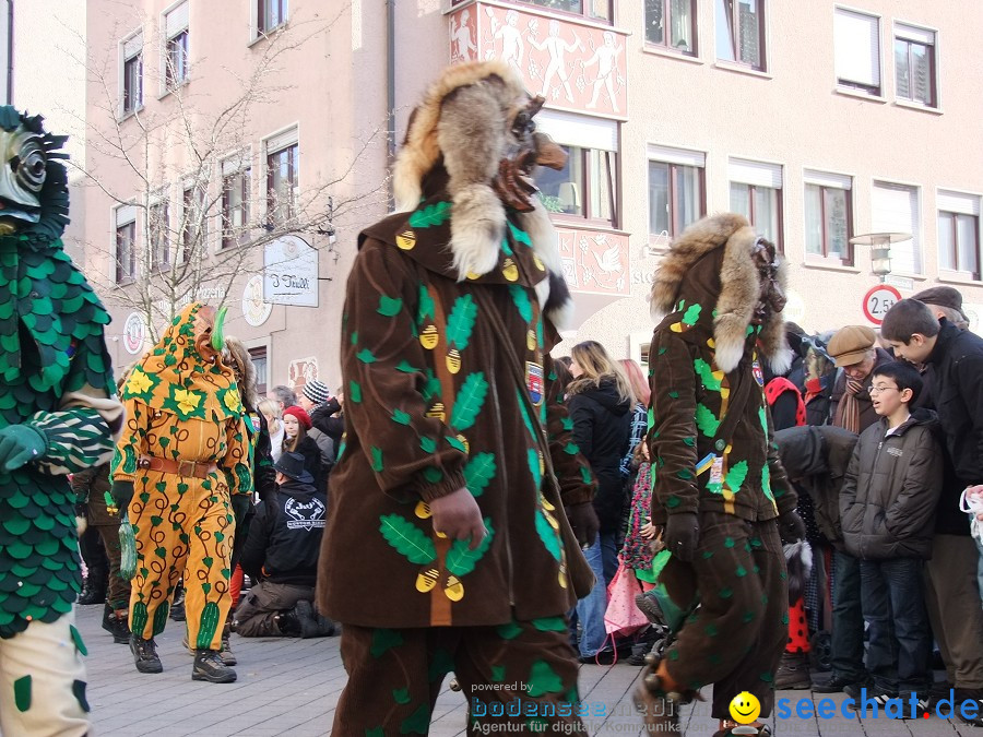 Fasnachtsumzug: Friedrichshafen am Bodensee, 18.02.2012