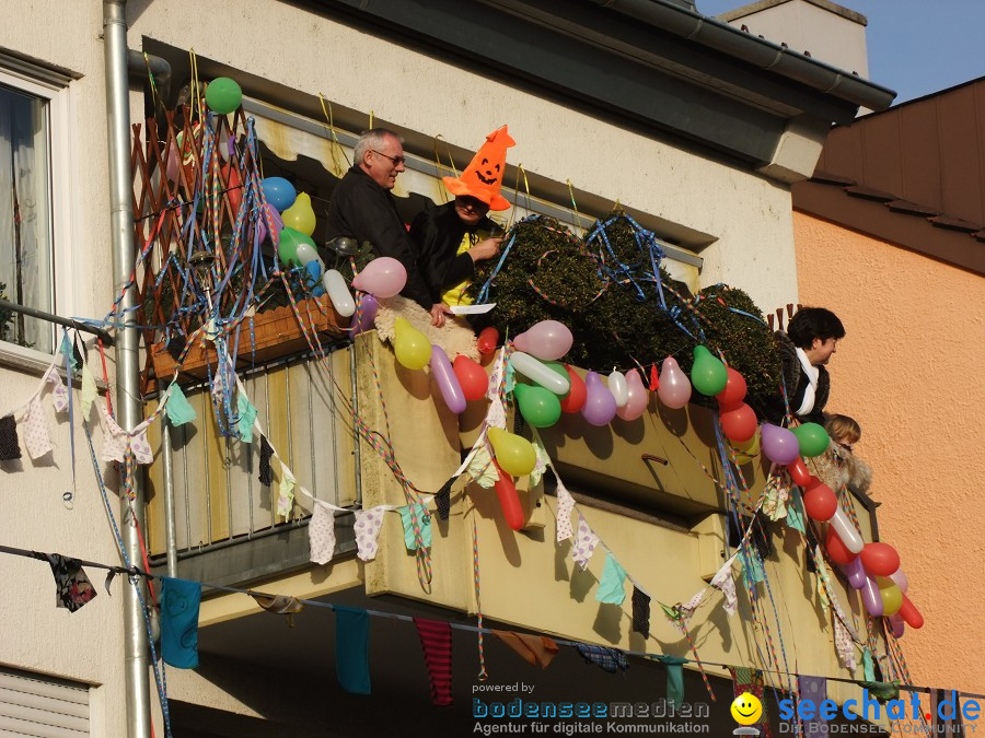 Fasnachtsumzug: Friedrichshafen am Bodensee, 18.02.2012