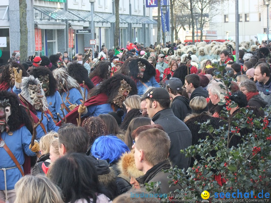 Fasnachtsumzug: Friedrichshafen am Bodensee, 18.02.2012