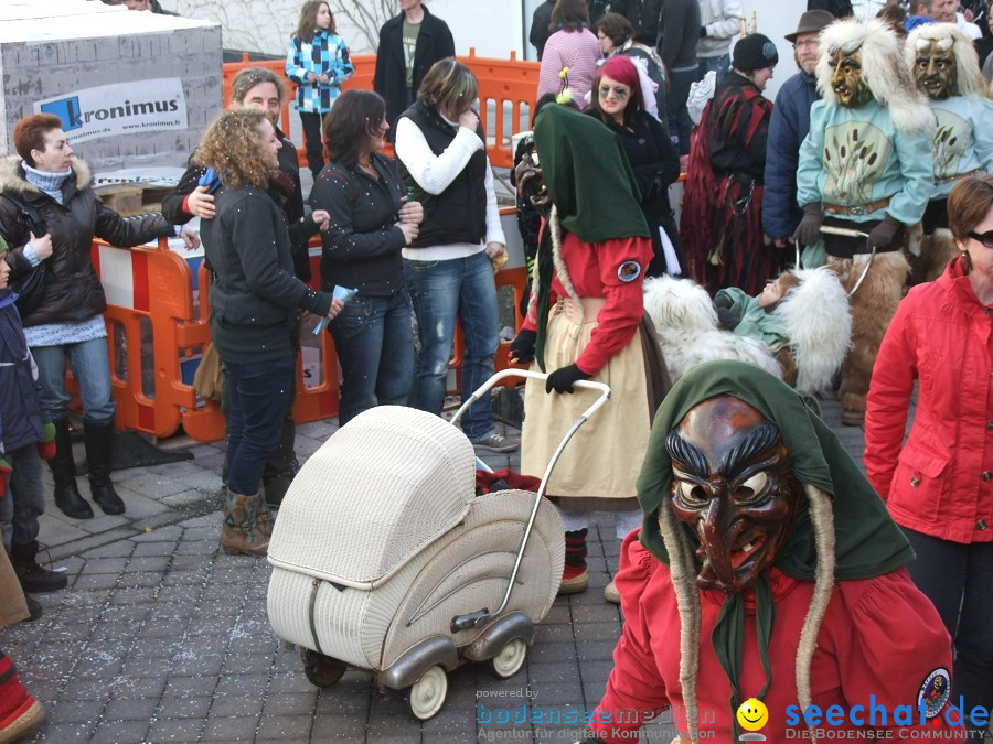 Fasnachtsumzug: Friedrichshafen am Bodensee, 18.02.2012