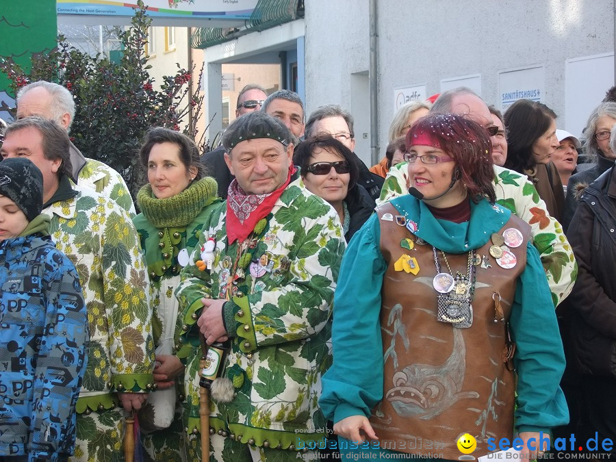 Fasnachtsumzug: Friedrichshafen am Bodensee, 18.02.2012