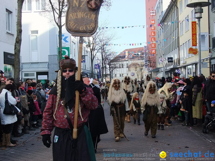 Fasnachtsumzug: Friedrichshafen am Bodensee, 18.02.2012