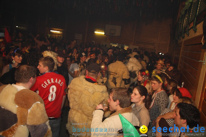 Stierball 2009