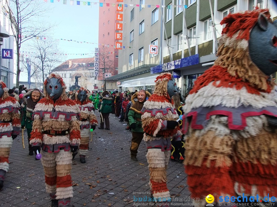 Fasnachtsumzug: Friedrichshafen am Bodensee, 18.02.2012