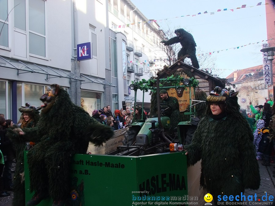 Fasnachtsumzug: Friedrichshafen am Bodensee, 18.02.2012