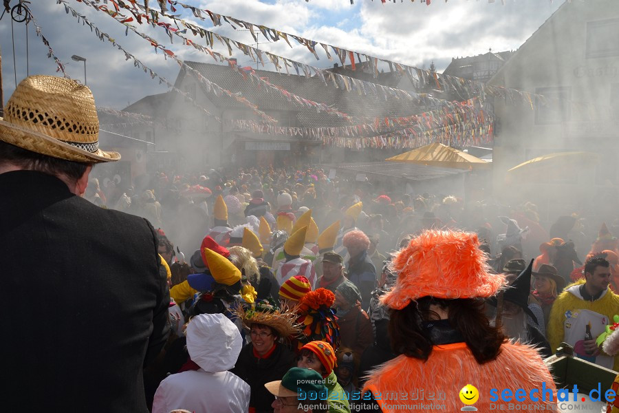 Johrmarkt - nur alle vier Jahre - Rosenmontag: Freudental, 20.02.2012