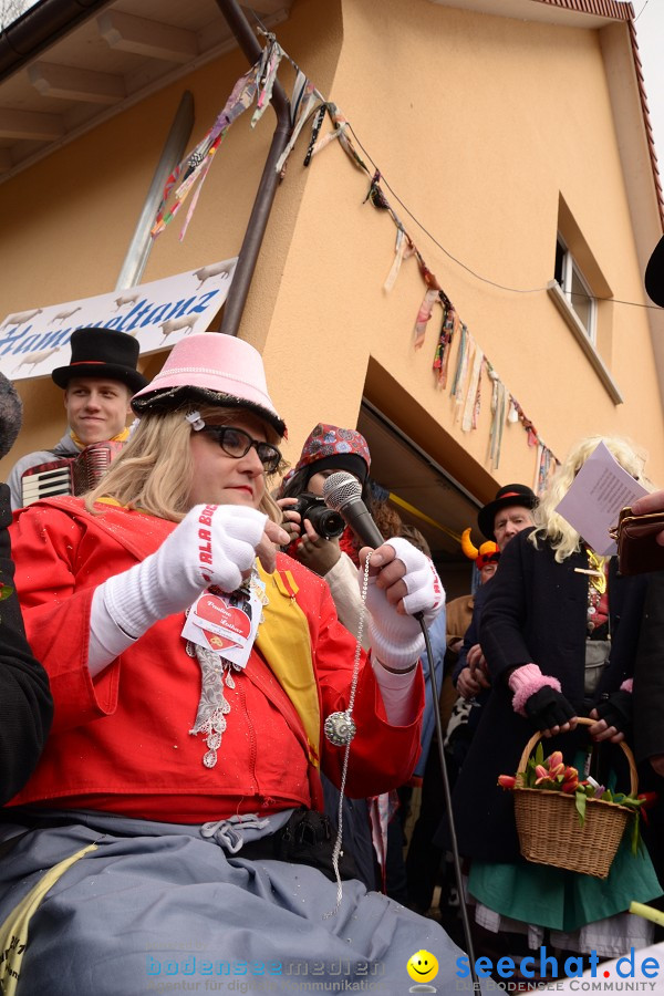 Johrmarkt - nur alle vier Jahre - Rosenmontag: Freudental, 20.02.2012