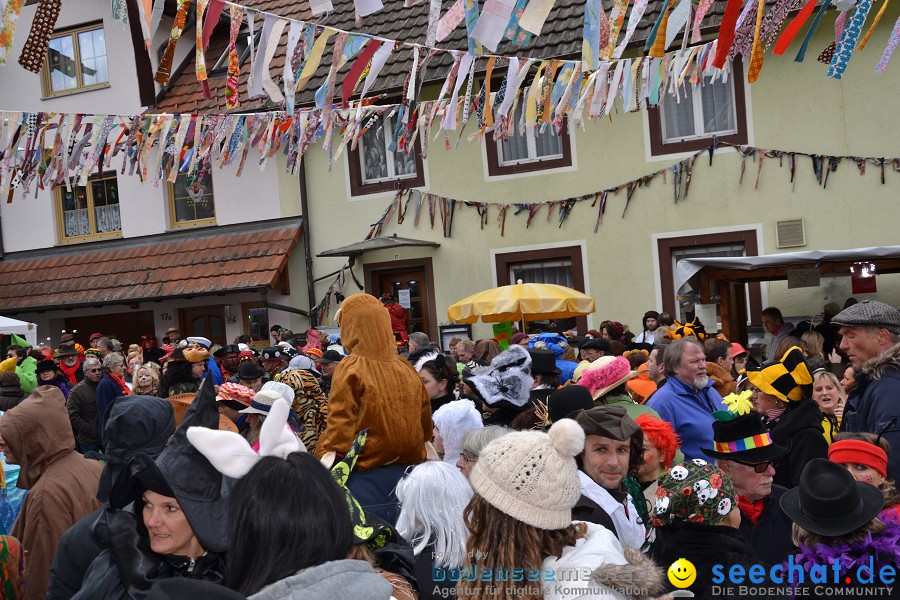 Johrmarkt - nur alle vier Jahre - Rosenmontag: Freudental, 20.02.2012