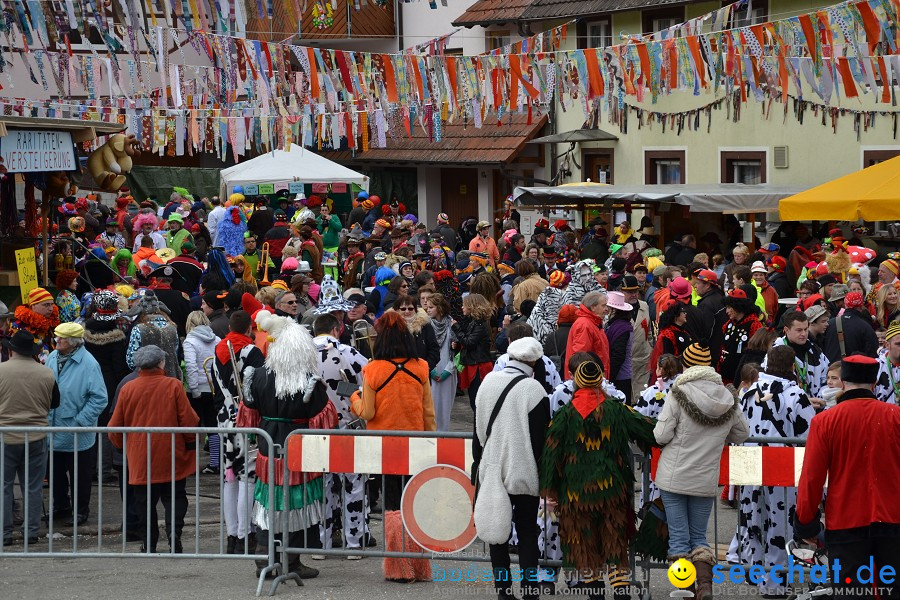 Johrmarkt - nur alle vier Jahre - Rosenmontag: Freudental, 20.02.2012