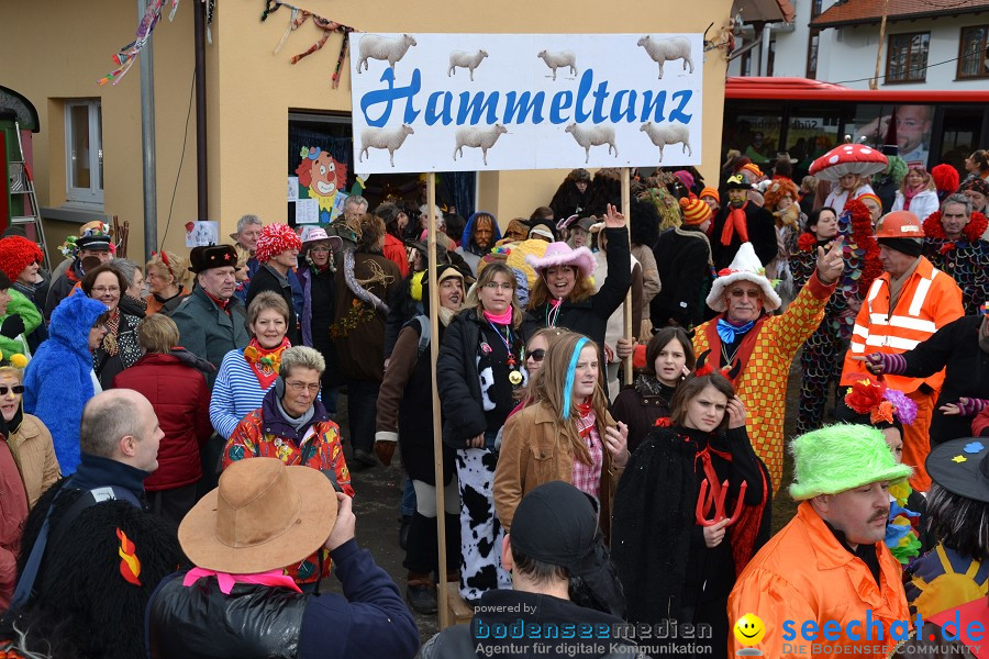 Johrmarkt - nur alle vier Jahre - Rosenmontag: Freudental, 20.02.2012