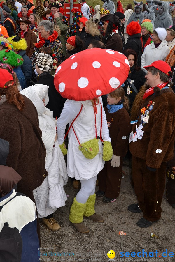 Johrmarkt - nur alle vier Jahre - Rosenmontag: Freudental, 20.02.2012