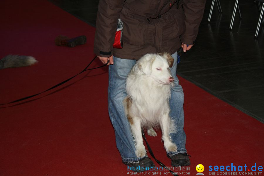 Hundemesse 2012: Oberschwabenhalle: Ravensburg, 25.02.2012