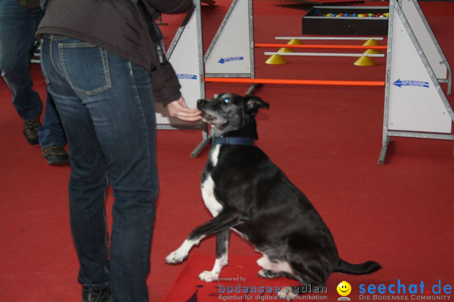 Hundemesse 2012: Oberschwabenhalle: Ravensburg, 25.02.2012