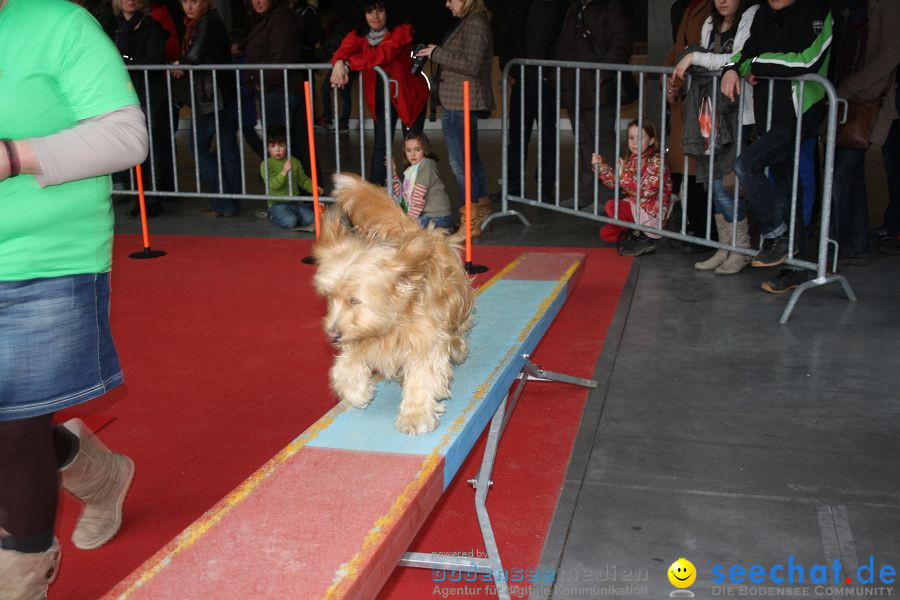 Hundemesse 2012: Oberschwabenhalle: Ravensburg, 25.02.2012