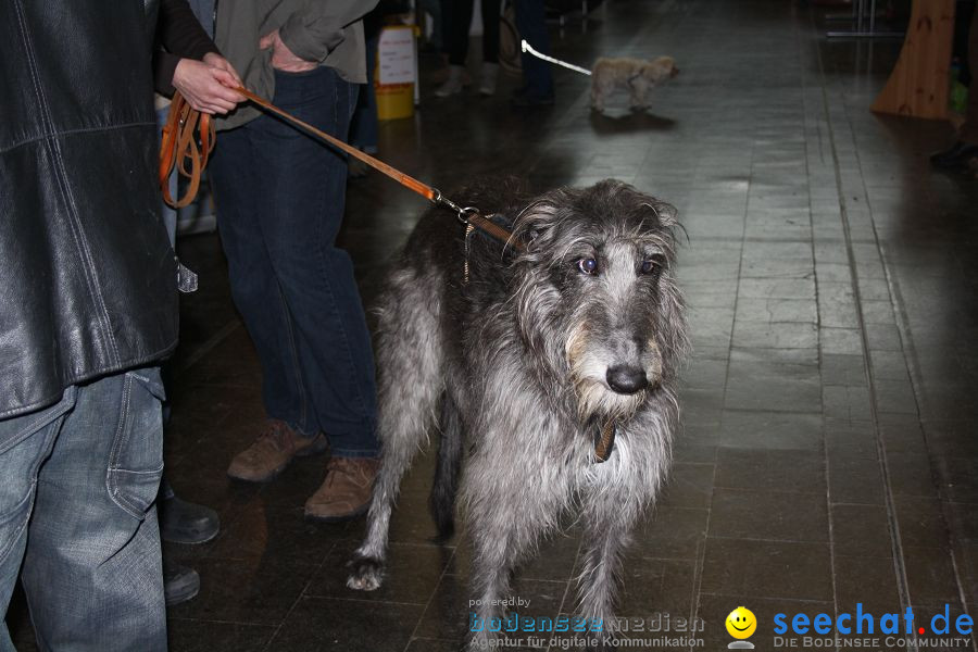 Hundemesse 2012: Oberschwabenhalle: Ravensburg, 25.02.2012