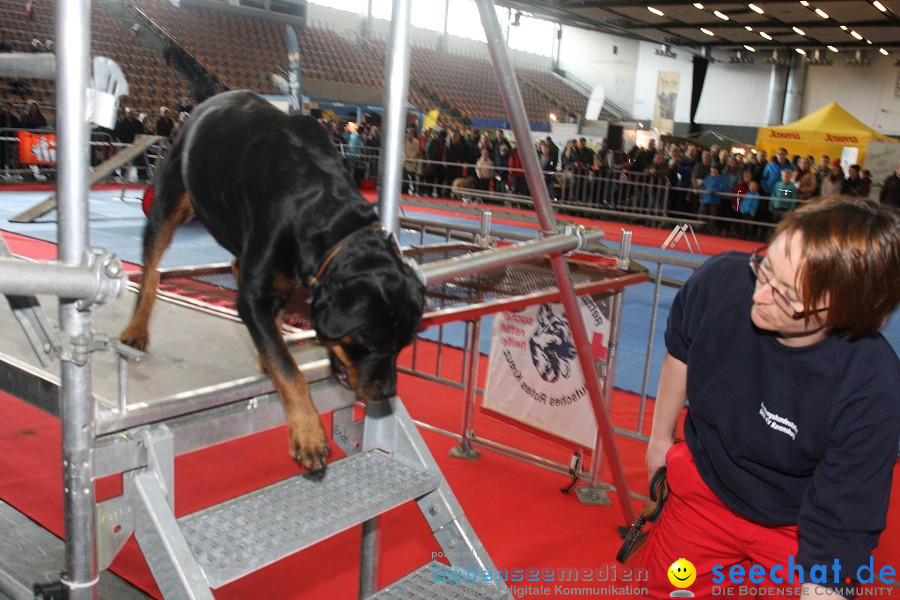 Hundemesse - Mein Hund 2012: Oberschwabenhalle: Ravensburg, 26.02.2012