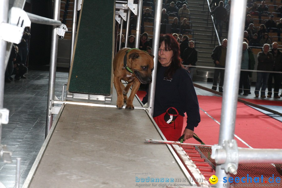 Hundemesse - Mein Hund 2012: Oberschwabenhalle: Ravensburg, 26.02.2012