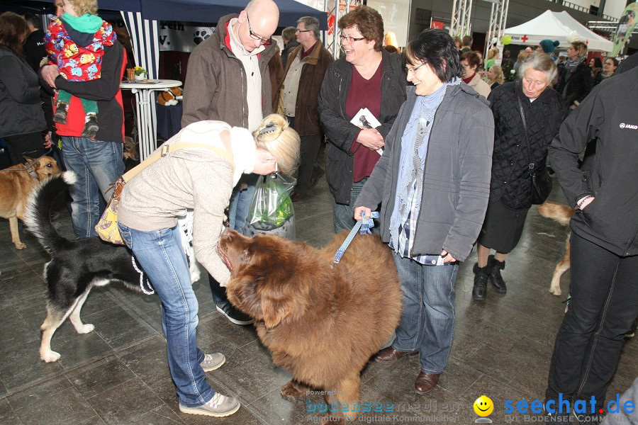 Hundemesse - Mein Hund 2012: Oberschwabenhalle: Ravensburg, 26.02.2012