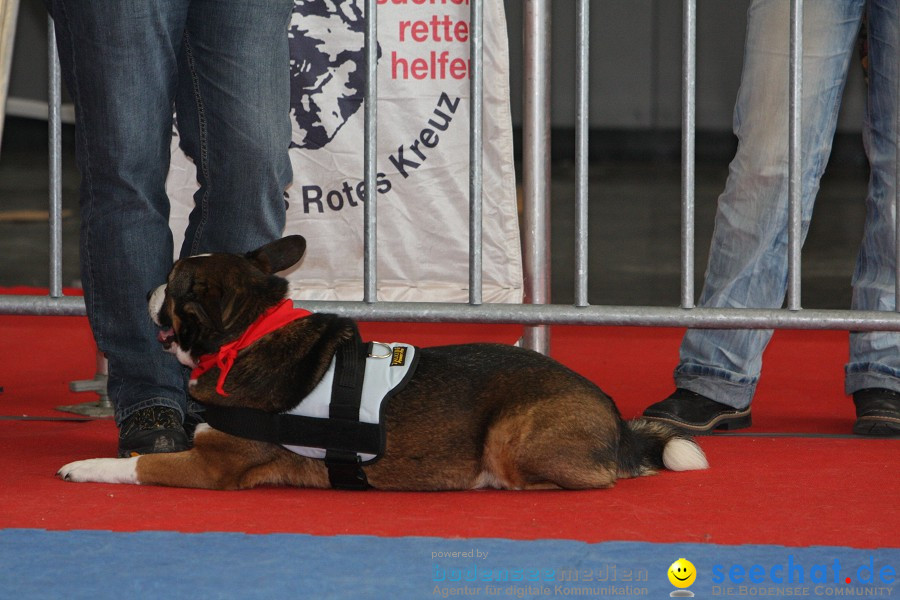 Hundemesse - Mein Hund 2012: Oberschwabenhalle: Ravensburg, 26.02.2012