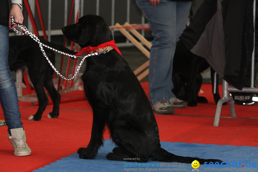 Hundemesse - Mein Hund 2012: Oberschwabenhalle: Ravensburg, 26.02.2012