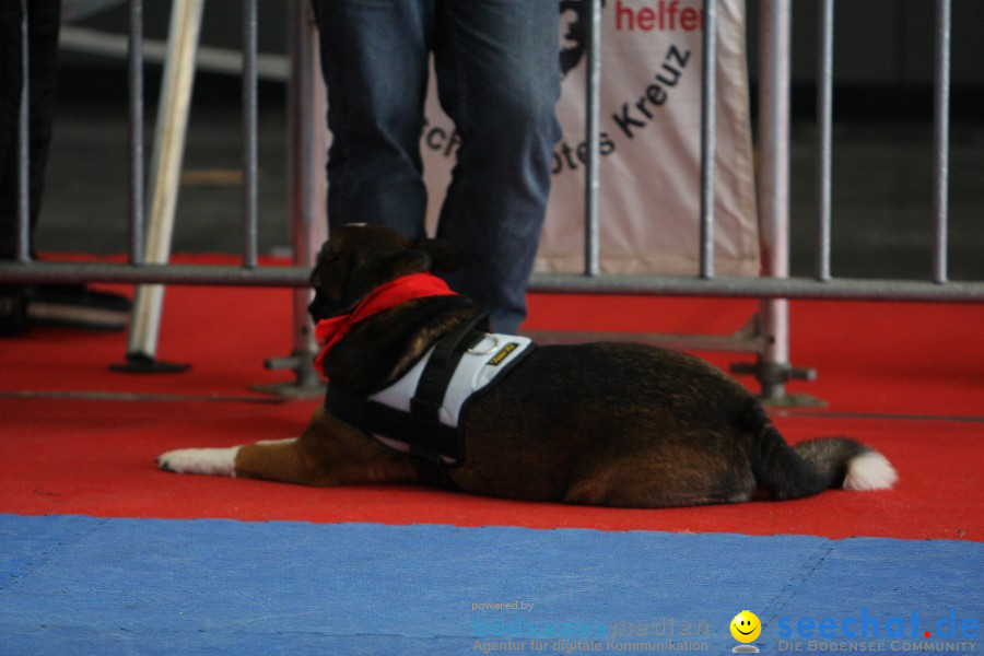 Hundemesse - Mein Hund 2012: Oberschwabenhalle: Ravensburg, 26.02.2012