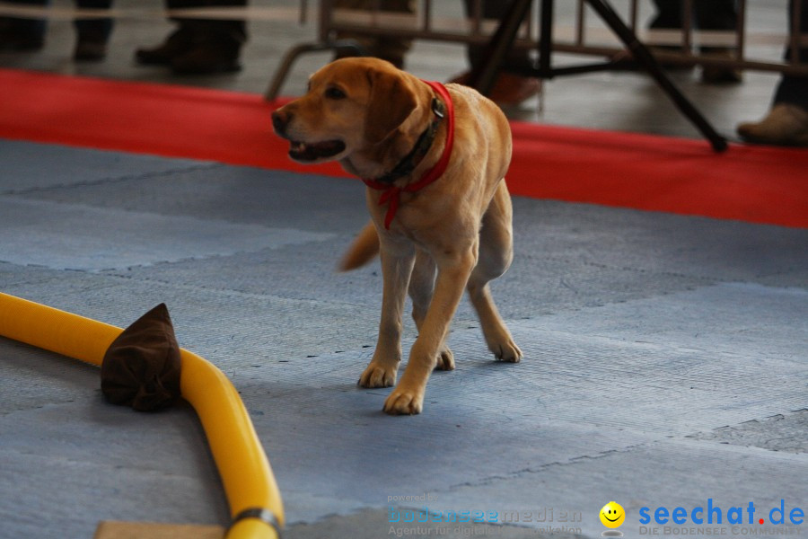 Hundemesse - Mein Hund 2012: Oberschwabenhalle: Ravensburg, 26.02.2012