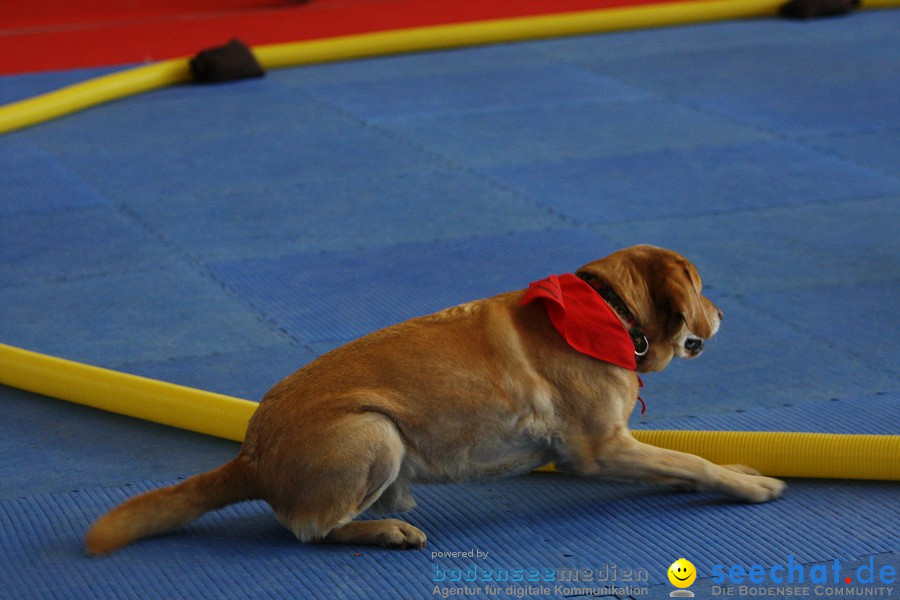 Hundemesse - Mein Hund 2012: Oberschwabenhalle: Ravensburg, 26.02.2012