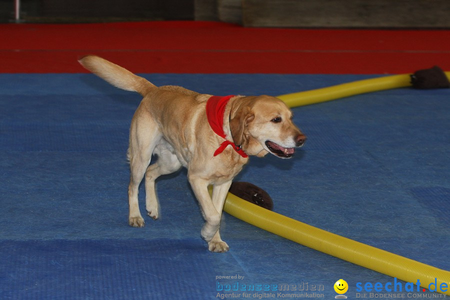 Hundemesse - Mein Hund 2012: Oberschwabenhalle: Ravensburg, 26.02.2012